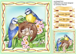 Beautiful Bluetits Nest