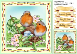 Beautiful Robins Nest