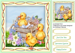 Ducklings in the nest