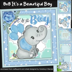 8x8 Its A Beautiful Boy