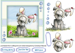 Bella Bunny Boo