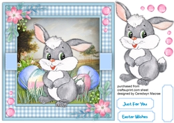 Cute Thumper Bumper 1