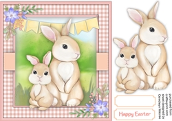 Rabbits in The Field