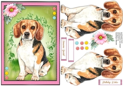 Beautiful Beagle Dog 