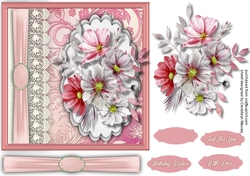 Beautiful Cosmopolitan Flowers