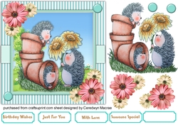Pots of Hedgehog Love