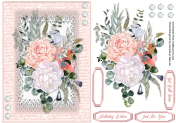 Beautiful Pink and White Roses