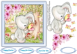 Bunnys Butterfly Friends