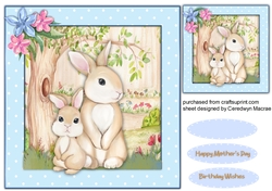 Gorgeous Bunny Love 