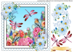 Beautiful Birds and Dragonflys