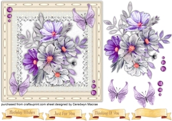 Butterflys and Flowers