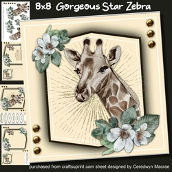 8x8 , Gorgeous Star Giraffe
