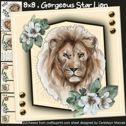 8x8 , Gorgeous Star Lion