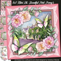 8x8 Mini Kit, Beautiful Pink Peonys