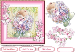 Hedgehog and Butterflys