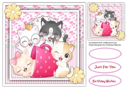 Kittys Having Fun