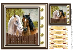 Gorgeous Horses in the Paddock 