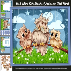 8X8 Mini Kit, Rest, Shes An Old Bird