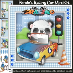 Pandas Racing Car Mini Kit