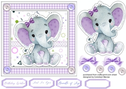 Beautiful Lilac Ellie 7x7