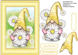 Gorgeous Daisy Gnome 