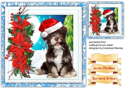 Cutie Dogs Christmas Hat