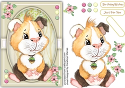 A5 , Gorgeous Hammy Hamster