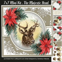 7x7 Mini Kit, The Majestic Head