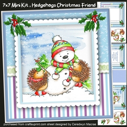 7x7 Mini Kit, Hedgehogs Christmas Friend