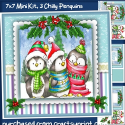 7X7 Mini Kit , 3 Chilly Penguins