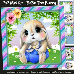 7x7 Mini Kit , BoBo The Bunny
