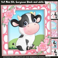 7x7 Gorgeous Black and White Cow