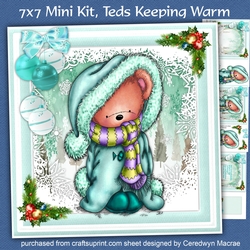7x7 Mini Kit, Teds Keeping Warm 
