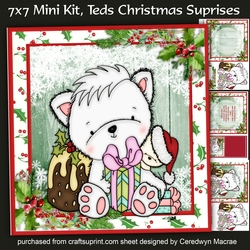 7x7 Mini Kit,Teds Christmas Suprise