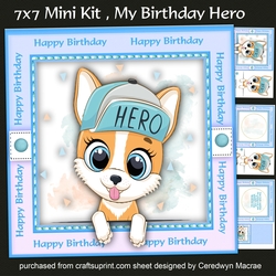 7x7 Mini Kit, My Birthday Hero
