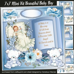 7x7 Mini Ki, Beautifu Baby Boy, By Request