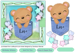 Little Packet Bear