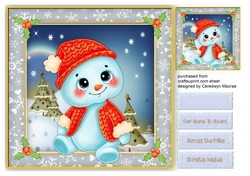 Gorgeous Little Snowman