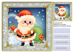 Gorgeous Santa