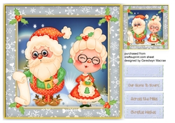 Gorgeous Mr & Mrs Santa Clause
