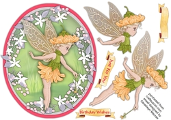 Beautiful Oval Fairy Daisy