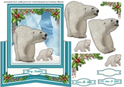 Gorgeous Polar Bears