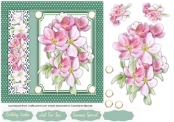 Beautiful Apple Blossom 7x7