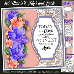 8x8 Mini Kit, Lilys and Quote