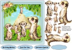 7x7 Adorable Meercats on Guard