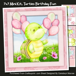 7x7 Mini Kit ,Turtles Birthday Fun