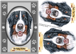 A5 Beautiful Bermise Mountain Dog