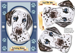 A5 Beautiful Dalmatian Dog