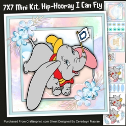 7x7 Hip-Hooray I Can Fly