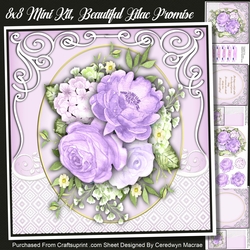 8x8 Mini Kit, Beautiful Lilac Promise